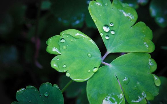 会员账号共享怎么设置