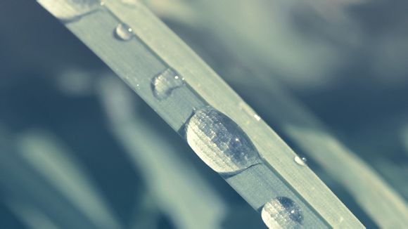 文库vip账号在哪里看