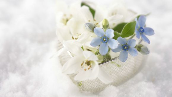 账号登陆两个手机内容一致嘛