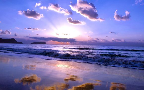 文库vip账号多少钱