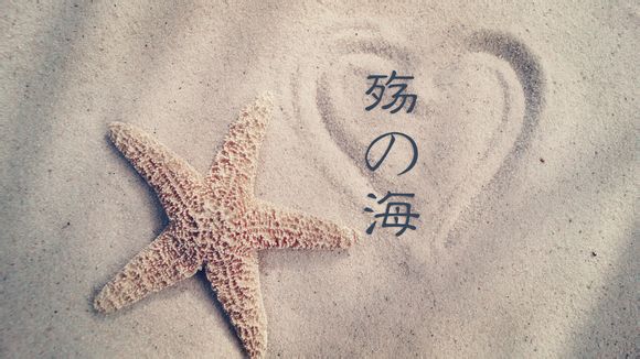 投放广告收费标准