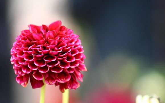 创始人身价多少亿