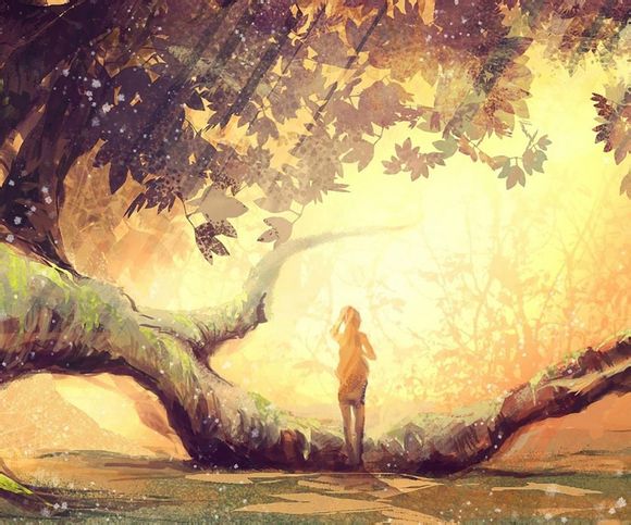 云盘登录后怎么用