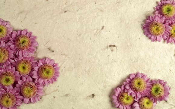 云俱乐部论坛小众圈