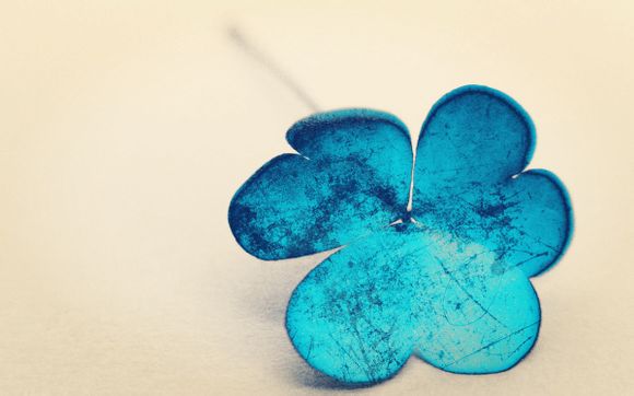 手写板不见了怎么找回来