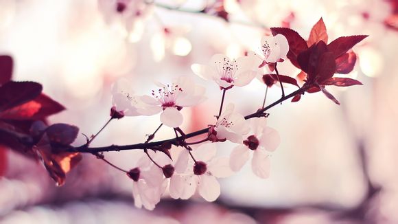 手机卫士号码标记申诉平台在哪