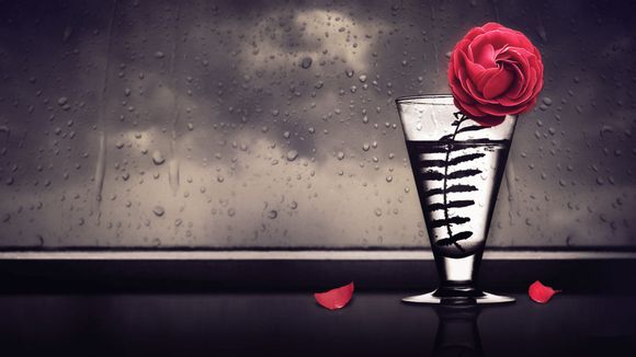 推广开户多少钱一个