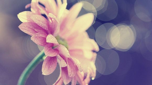 钱包怎么找不到了