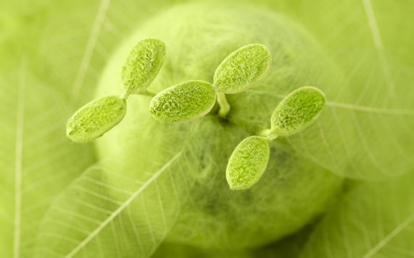 公司上海总部地址