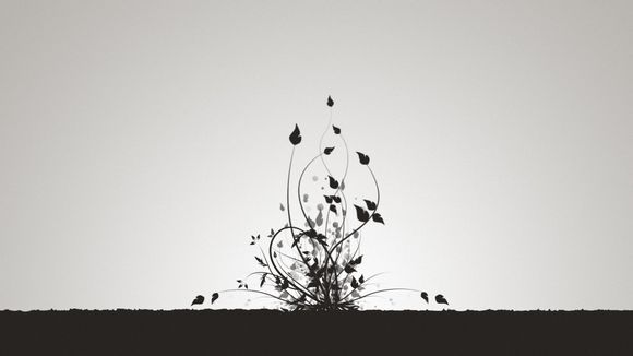 学术查重入口免费