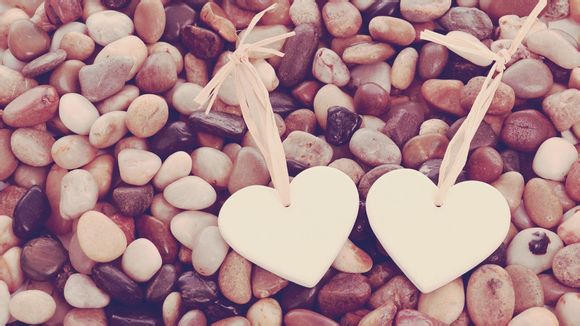 文库vip账号分享吧在哪