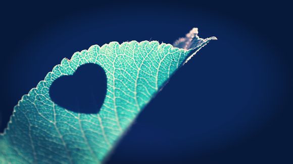 翻译文言文翻译器