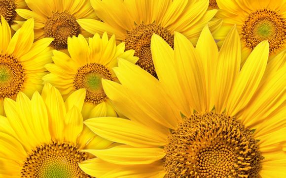 现在时间校准2019