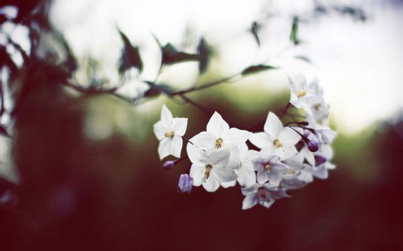 jealousvue成熟40maoff