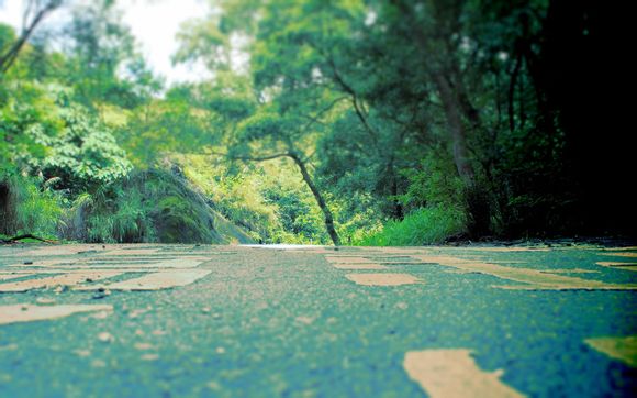 学术高级搜索怎么用