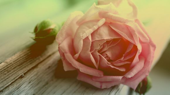 盘前缀是什么意思