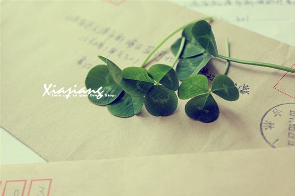 80040154解决方法