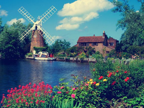 云分享链接违规失效警察还能恢复吗