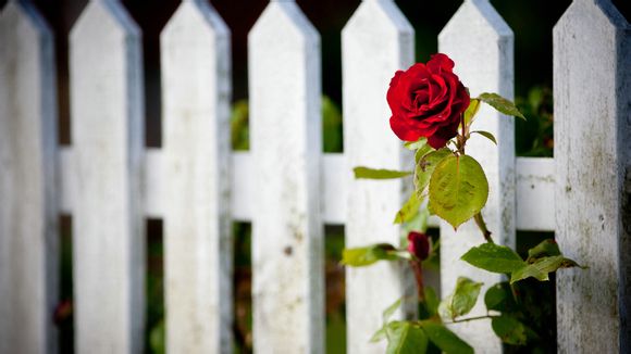推广管理平台登录