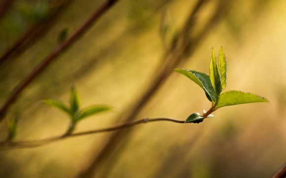 云会员免费体验1天2021