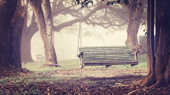 超级会员共享账户怎么用