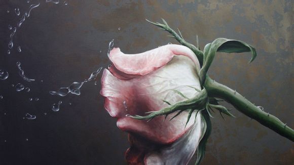 有钱花征信多久更新一次