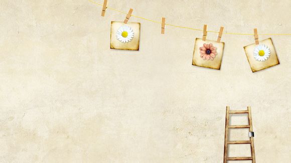 a1纸规格是多少厘米