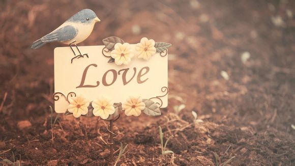 云链接提取方法