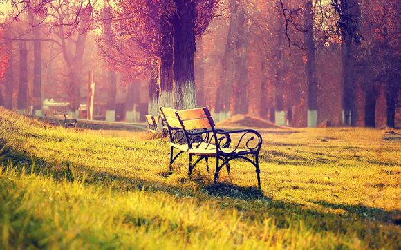 8月11是几月几号