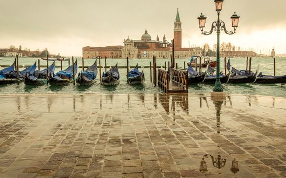 文库文字复制破解软件