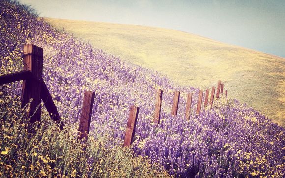 手机卫士被标记号码查询