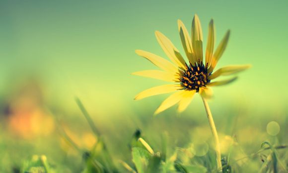 快照怎么没有了