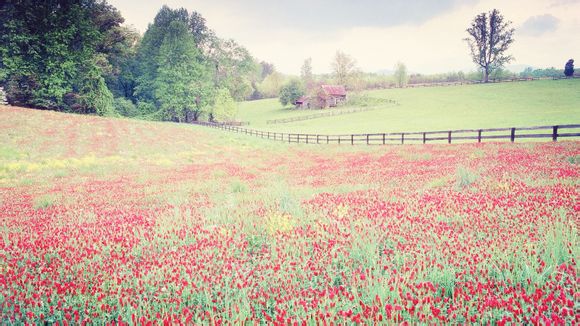 文库复制破解方法2020